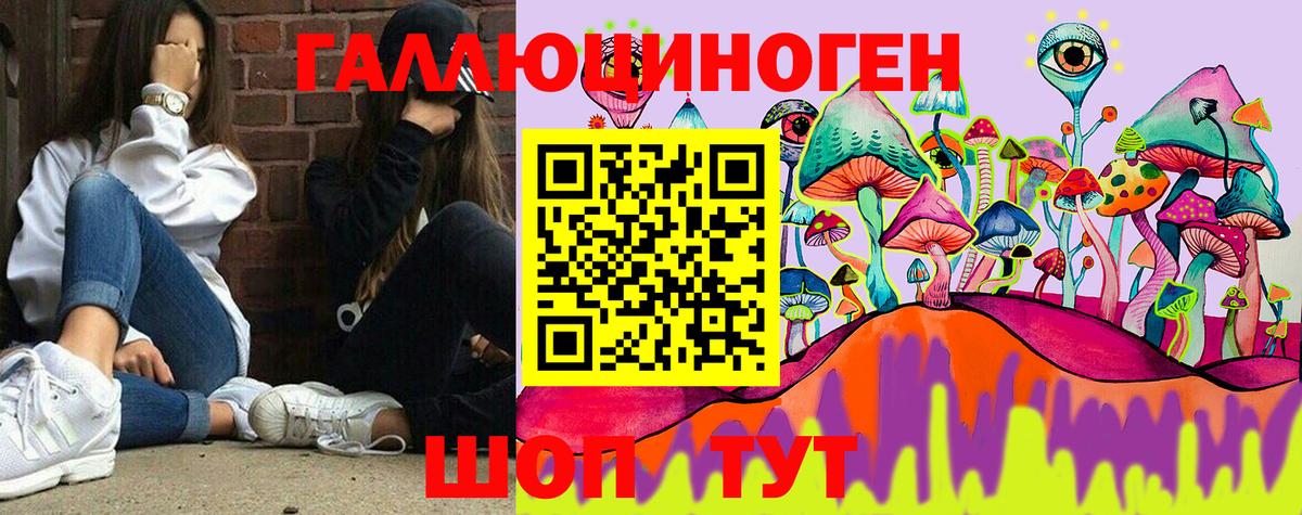 Галлюциногенные грибы прущие грибы  Псилоцибиновые грибы мицелий  Камышин  Вход с VPN 