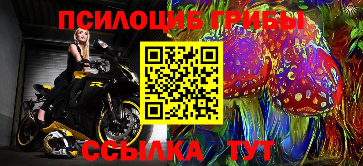 Псилоцибиновые грибы MAGIC MUSHROOMS Камышин